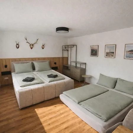 Schwarzwald Loft Bergblick St. Blasien